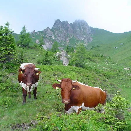 Biobauernhof Aubauer