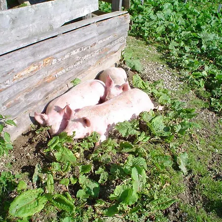 Biobauernhof Aubauer